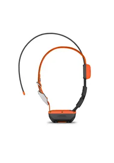 Alpha T20 GPS Collar